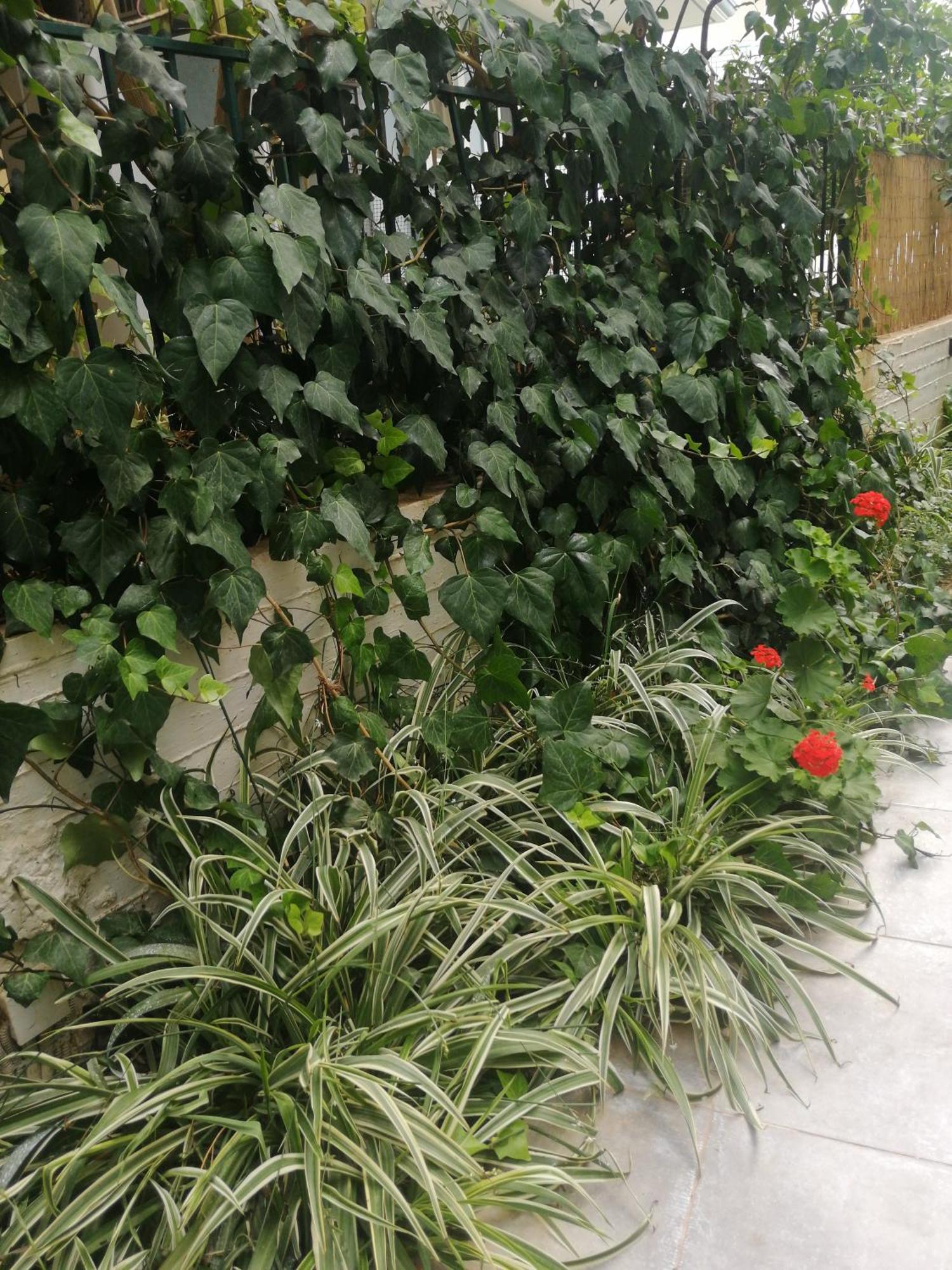 Míloi Palataki Residence מראה חיצוני תמונה
